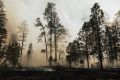 Moramo da delujemo preventivno u borbi protiv šumskih požara